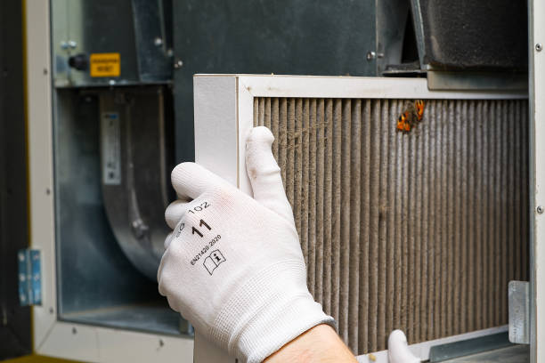 Best Affordable Duct Cleaning Services  in Alamo, TX
