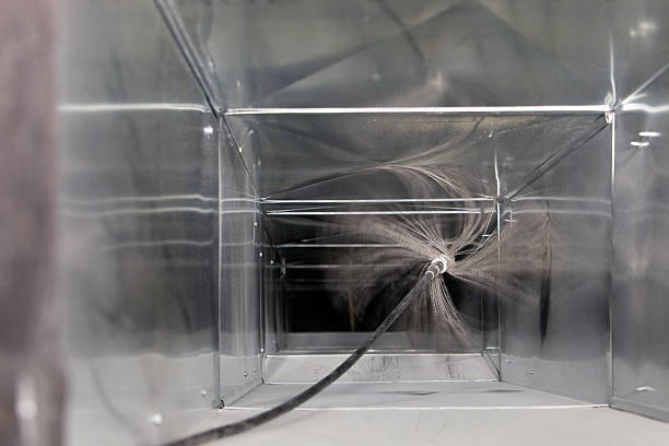 Best HVAC Duct Inspection Services  in Alamo, TX