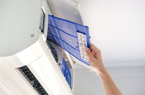 Best Best Air Duct Cleaning Near Me  in Alamo, TX