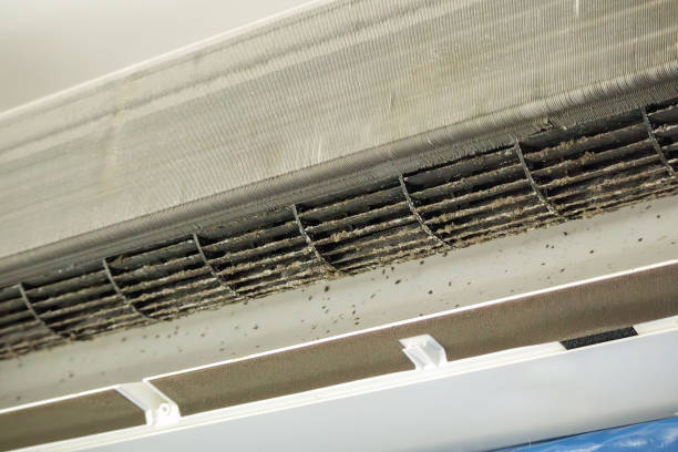 Home Air Vent Cleaning in Alamo, TX