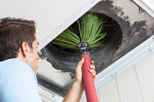 Best HVAC Duct Inspection Services  in Alamo, TX