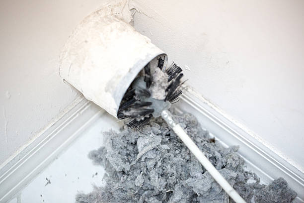 Best Ductwork Cleaning Services  in Alamo, TX