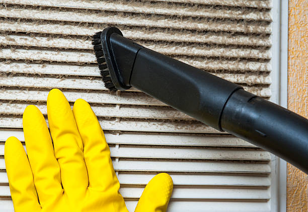 Best Home Air Vent Cleaning  in Alamo, TX